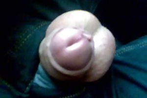 Mann smell blonde lucy katt i rumpa og gjør drikke sperm