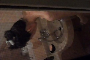 Elena katt - ferie i las vegas