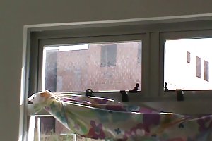 I treningsstudioet